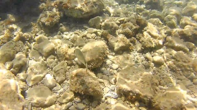 Пляж Могрен (Mogren) Черногория, Будва. Mogren beach Montenegro, Budva. смотреть онлайн