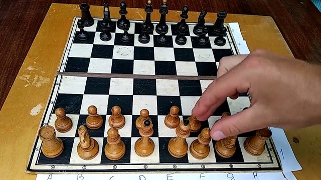 Кого любит королева или кто где должен стоять. Шахматы с нуля смотреть онлайн