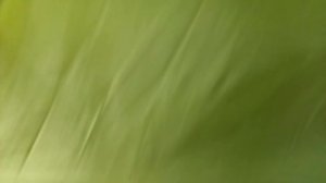 Бюджетный тент на лодку пвх Гладиатор D 330 Аl (за 1 тысячу рублей) Тюнинг лодки пвх.