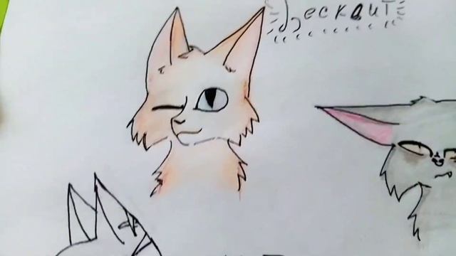 обзор моих старых рисунков котов воителей||обзор скетчбука||новинки для рисования смотреть онлайн