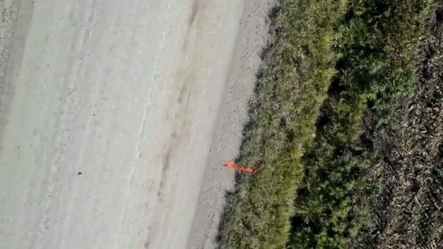 RuralRoadRecon2 смотреть онлайн