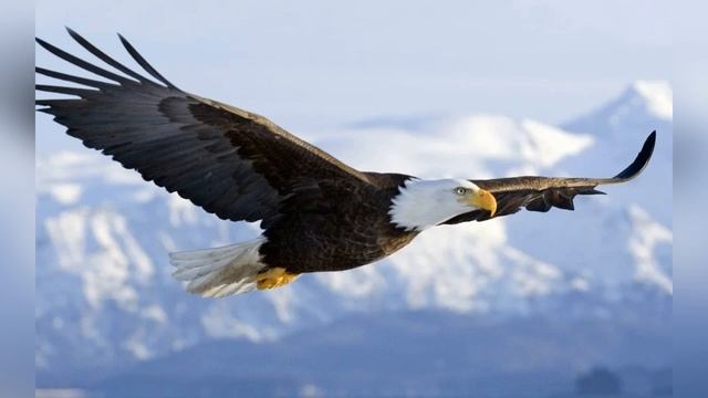 Молитва – утверждение в укрепление духа смотреть онлайн