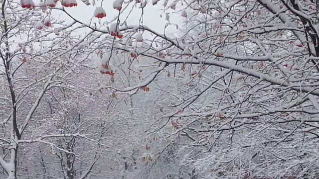 первоклашка катает снеговика смотреть онлайн