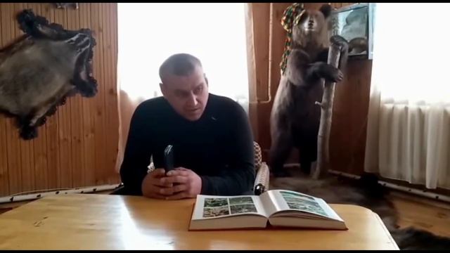 Александр Морозов о щенках удмуртского питомника ЗСЛ: вязки, состязания, охота смотреть онлайн