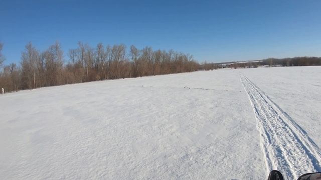 ОХОТА на зайца и лису 2020. Загонная охота. смотреть онлайн