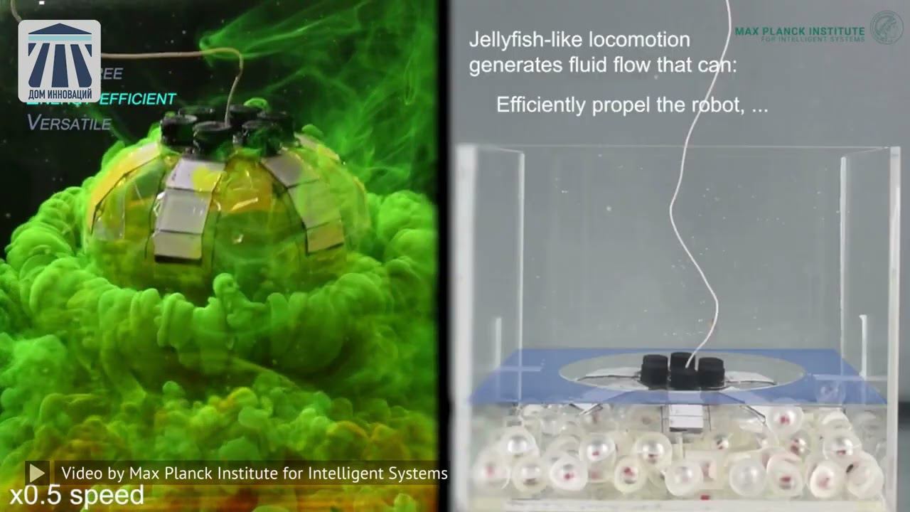 150 Innovation From Max Planck Institute (House Of Innovation)