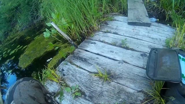 KAIDA Finesse.Пробы в микроджиге "Тупанул ...ТЬ " смотреть онлайн