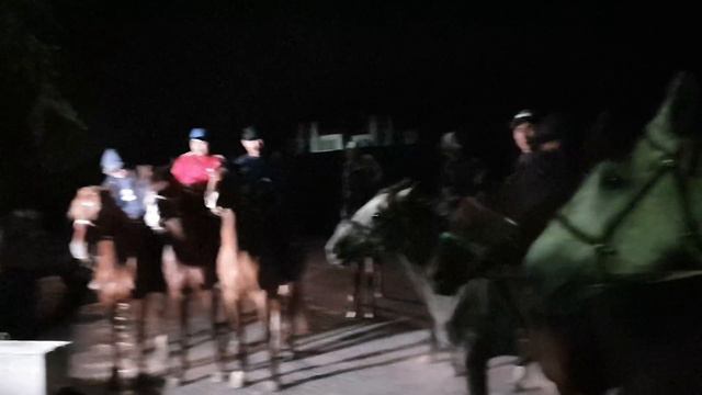 Возле дома Алмазбека Атамбаева собрались всадники на лошадях смотреть онлайн