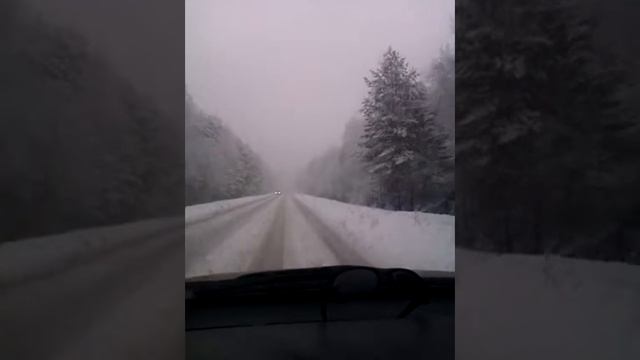 Весна в Новосибирске 20.04.2013 смотреть онлайн