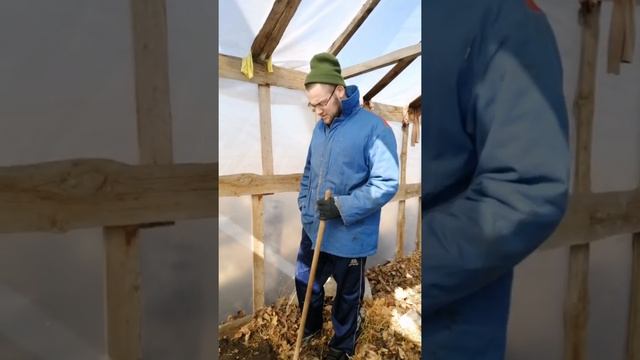 временная посадка саженцев. смотреть онлайн
