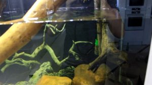 Система автоподмены на одном из объектов АКВАРИУМПЕРМЬ.РФ