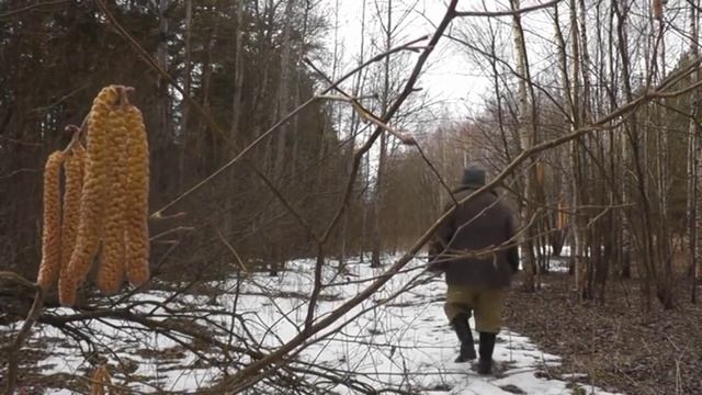Гнездо подорлика часть третья смотреть онлайн