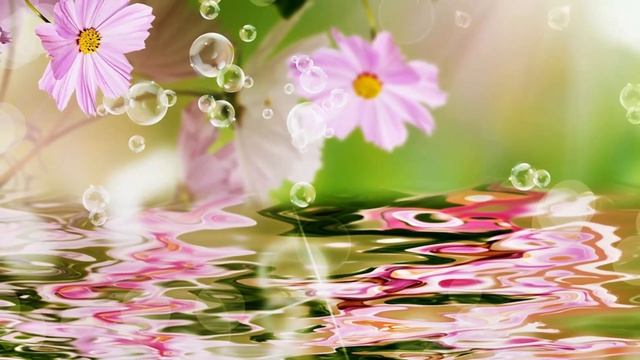 Непревзойденная, Божественно красивая музыка! Хочется слушать до бесконечности! смотреть онлайн