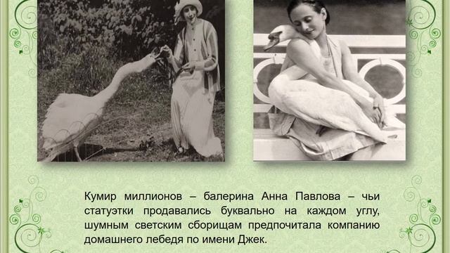 Анна Павлова - 140 ЛЕТ СО ДНЯ РОЖДЕНИЯ смотреть онлайн