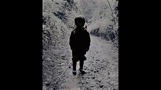 THE EXECUTION OF TRIGGER WOMAN - Irene Schroeder смотреть онлайн