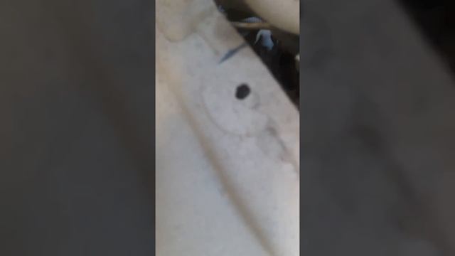 Треск генератора смотреть онлайн