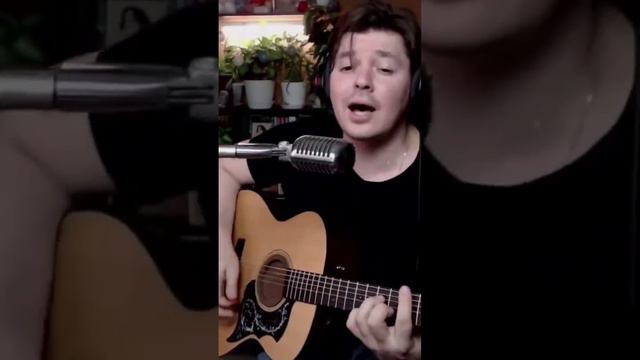 Кузьмин - Сибирские морозы (cover by @SvoiSvoim ) #cover #guitar #live #music #stream смотреть онлайн
