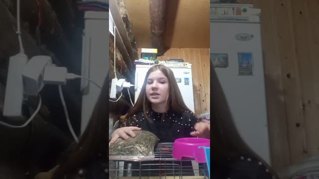 что нужно знать чтобы завести кролика смотреть онлайн