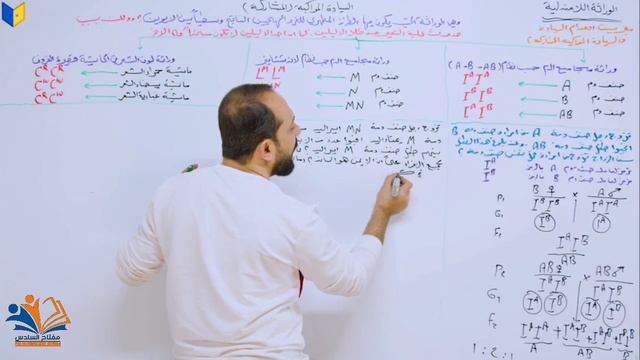 • الفصل الخامس • المحاضرة : 16  (السيادة المشاركة)