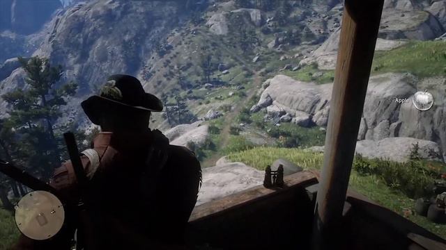 Ginseng Elixir Location With A Beautiful View- RDR2 смотреть онлайн