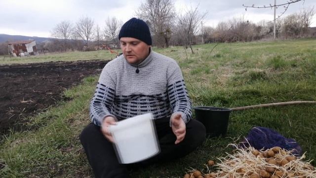 ПОСАДКА КАРТОФЕЛЯ, удобряем. С помощью мотоблока. Сортируем СЕМЕННОЙ КАРТОФЕЛЬ. смотреть онлайн