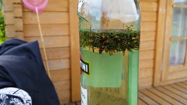 Осы оккупировали "Мартини" смотреть онлайн