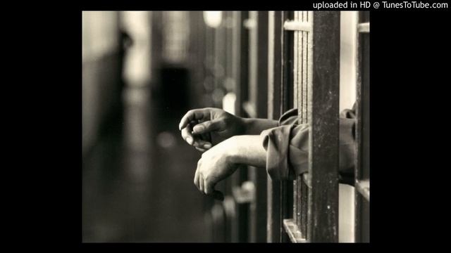 черный дельфин смотреть онлайн