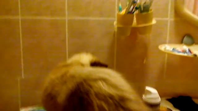 Мой кот :3 смотреть онлайн