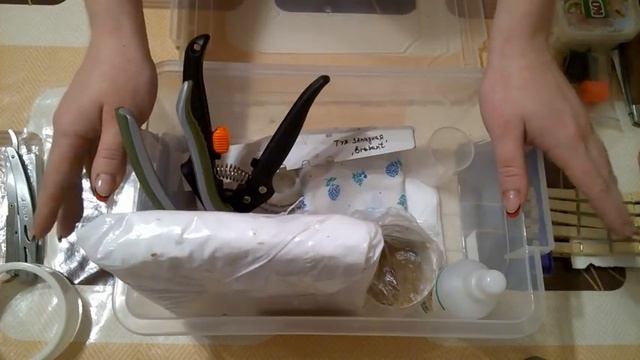 ПРИВИВКА ДЕРЕВЬЕВ! КАК? ЧЕМ? ХИТРОСТИ и ПРЕМУДРОСТИ смотреть онлайн