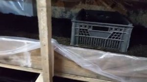 Как выманивать червя.