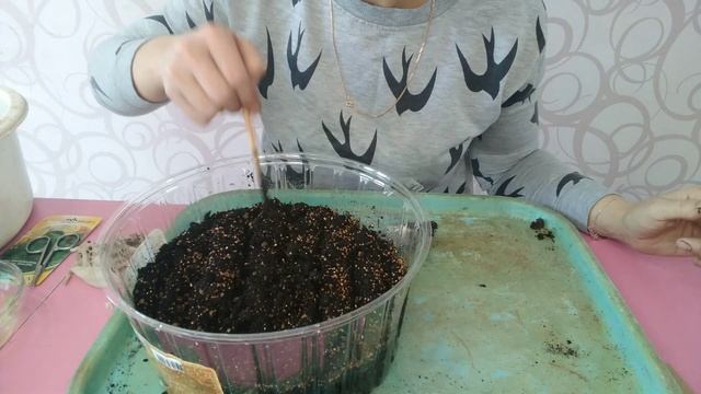 Сажаю УКРОП и ПЕТРУШКУ дома. Супер ЛАЙФХАК смотреть онлайн