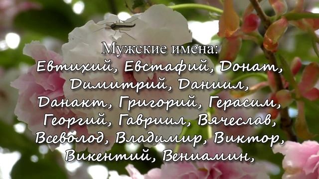 13 мая – именины сегодня отмечают смотреть онлайн