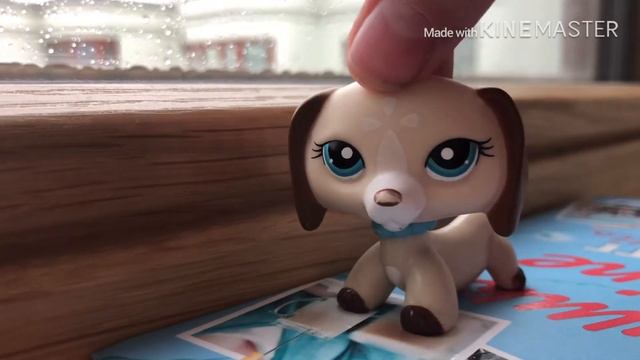 LPS: Давайте задавайте вопросы🌸 смотреть онлайн