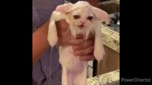 Дорогой дневник, мне не подобрать  слов чтоб описать боль и унижение которое я испытывал сегодня.