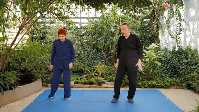 Форма 13. Голубь (Орёл) раскрывает крылья. Тайцзи – Цигун 18 форм смотреть онлайн