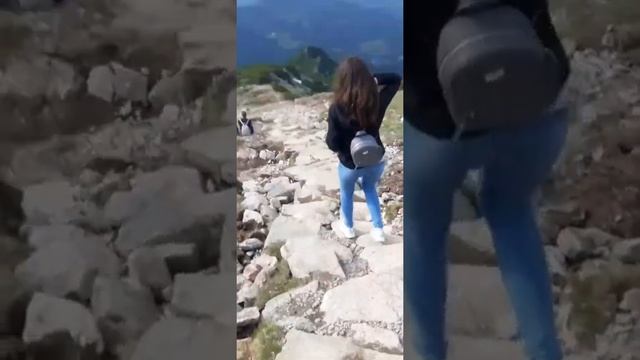 Путешествия по Польше: Закопане смотреть онлайн