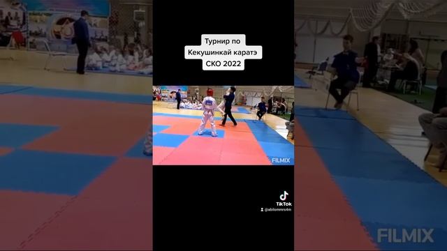 турнир по Кекушинкай каратэ, СКО 2022 смотреть онлайн