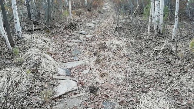 Тропинка у озера смотреть онлайн