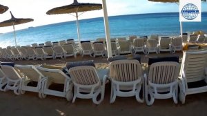 Обзор отеля REEF OASIS BEACH RESORT 5* (Египет, Шарм-эль-Шейх)