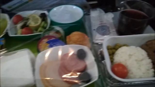 Flug Taschkent Frankfurt Taschkent mit Uzbekistan Airways смотреть онлайн