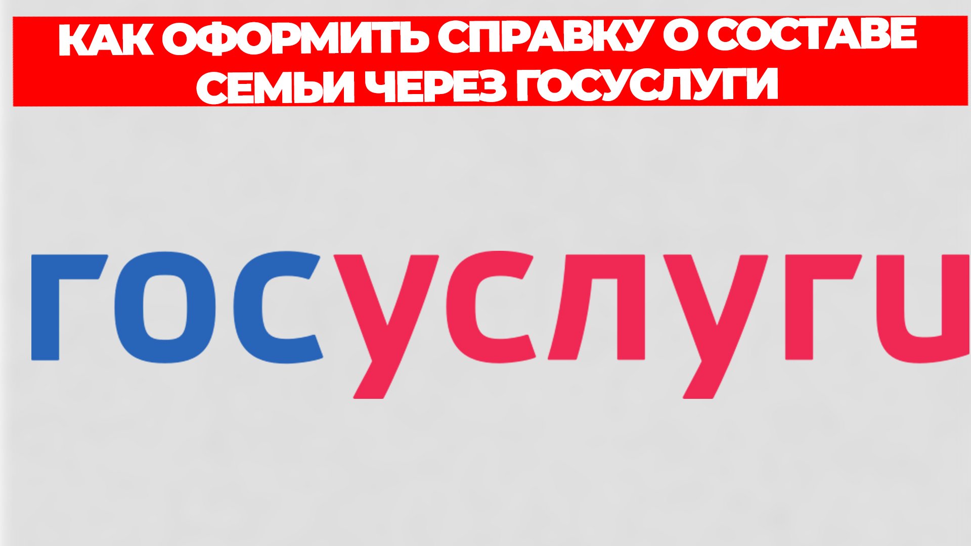 Всезнающий Енот