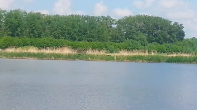 Ловля рыбы с воздуха смотреть онлайн