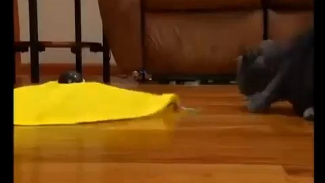 Игрушка Кошки-Мышки "Сat's Meow" смотреть онлайн