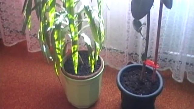 JVC GR-D240E Digital Video Camera MiniDV Test смотреть онлайн