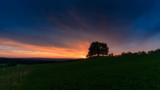 Красивая музыка для работы, медитации, отдыха и настроения - Relaxing Music смотреть онлайн