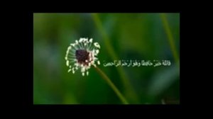 Убивает раковые клетки когда слушаешь Коран это реально