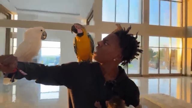 iShowSpeed Goes To The World’s CRAZIEST ZOO.. 🤣 смотреть онлайн