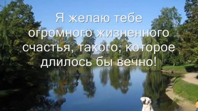 С днём рождения , Дима ! смотреть онлайн