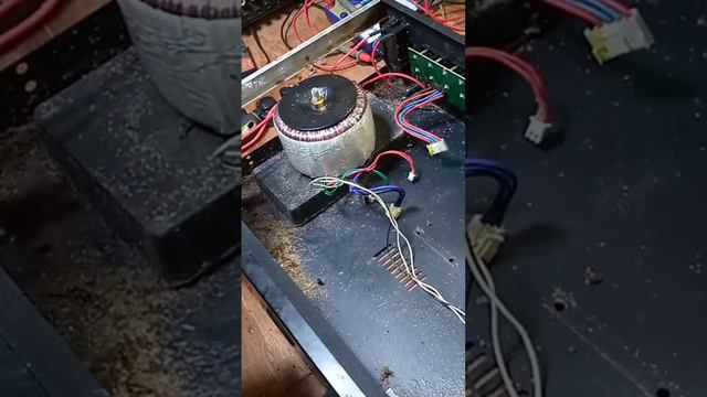 #amplifier #konzert #integratedamplifier #shortvideo смотреть онлайн