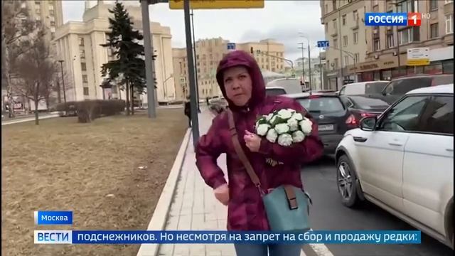 Нелегалы продолжают продавать подснежники смотреть онлайн
